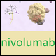 nivolumab